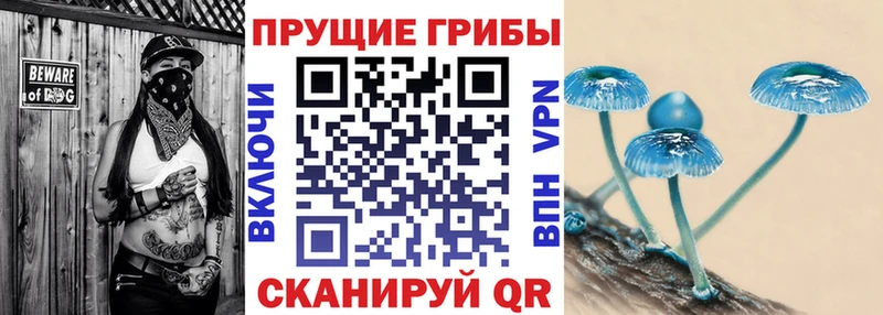 Псилоцибиновые грибы MAGIC MUSHROOMS  Льгов 